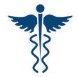 Virtual CEO Services ICON